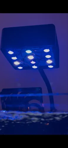 Vende-se luminária para aquário marinho nano