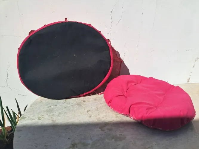 Cama pet