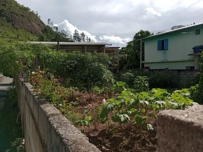 Lote em São José de fruteiras - Vargem Alta/ES