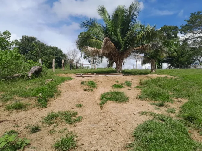 Vende-se terra em Manoel Urbano no KM 33