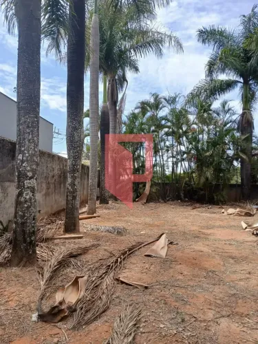 Lote todo murado de Excelente Topografia com saída para duas ruas, à Venda no Bairro Trevo