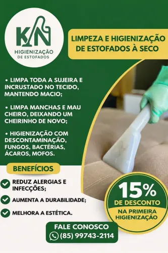LIMPEZA/HIGIENIZAÇÃO/ LAVAGEM A SECO DE SOFÁS, POLTRONAS, COLCHÕES E ESTOFADOS EM GERAL