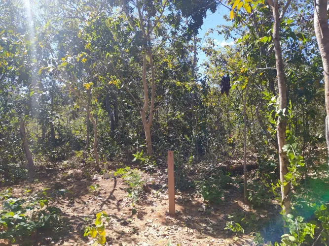 Lote no Lago serra da mesa