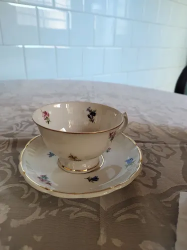 Xícara de chá em Porcelana Schmitd