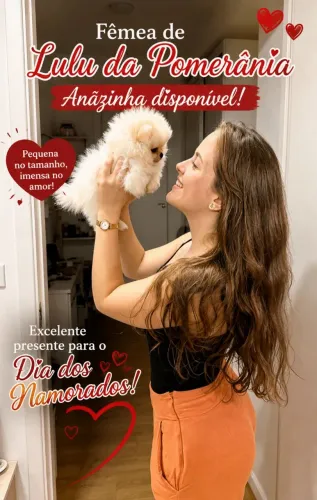 Femea Lulu da Pomerânia