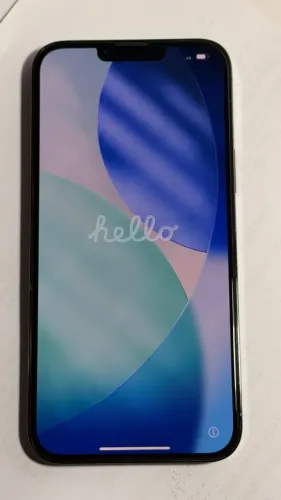 iPhone 13 Pro Max 256GB
