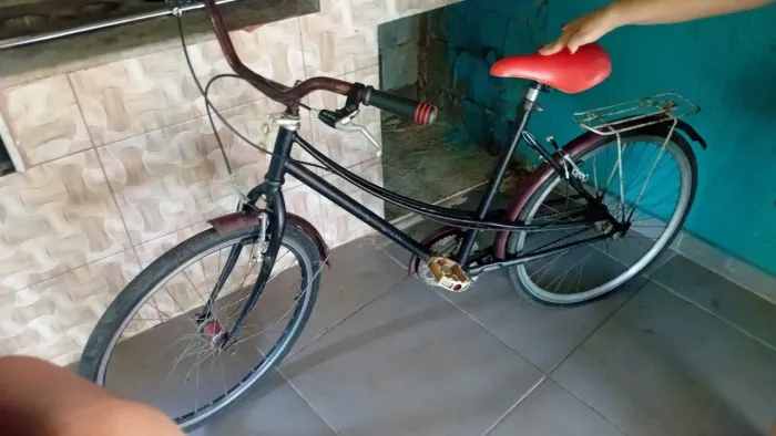 Bicicleta cdloi ceci