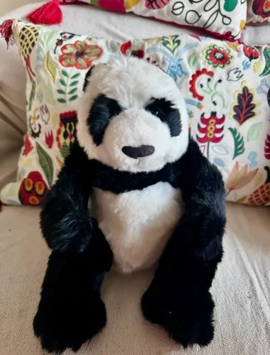 Panda de pelúcia grandinho comprado fora do país