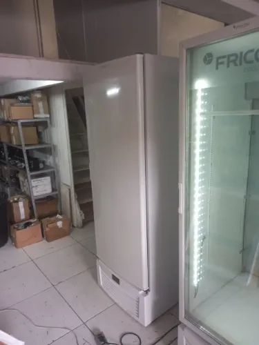 Freezer Vertical Fricon