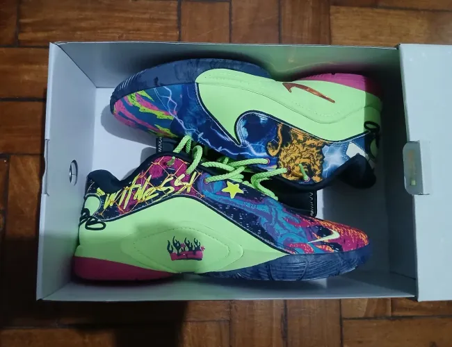Tenis Lebron XXII Brice's World 44