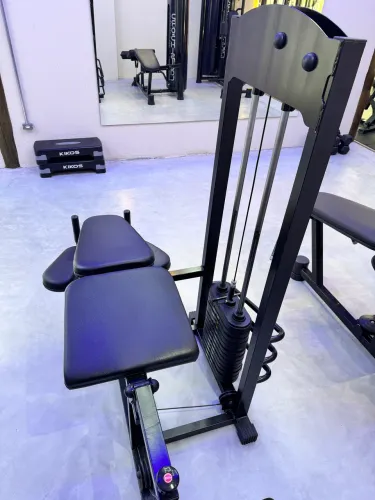 Mesa Flexora