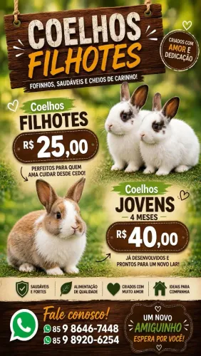 Filhotes De Coelho