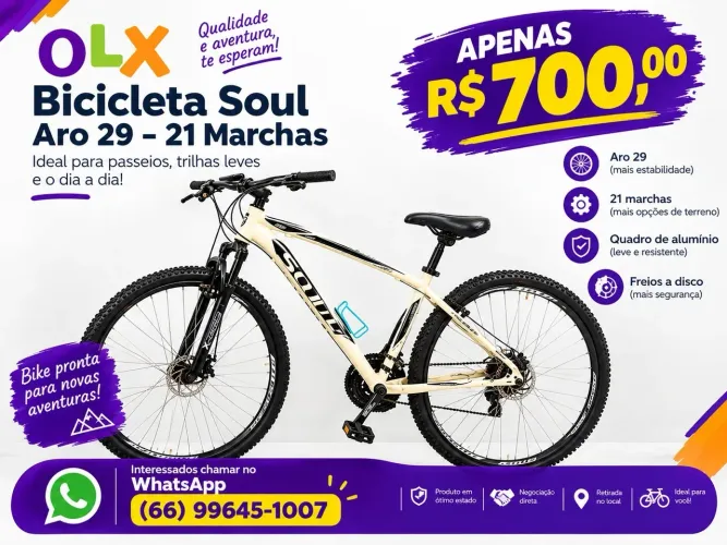Bicicleta