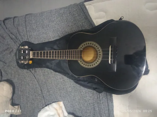 Instrumental musical 