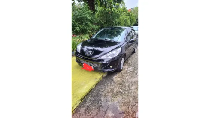 Peugeot 207 XS 1.6 Flex 16V 5P 2010
