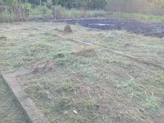 Terreno à Venda - Região Rural de Crucilândia/MG ?