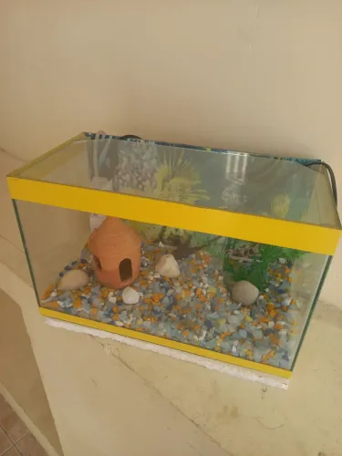 Aquário novo completo