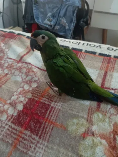 Doação 