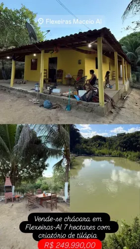  chácara à venda em Flexeiras 7 hectares 