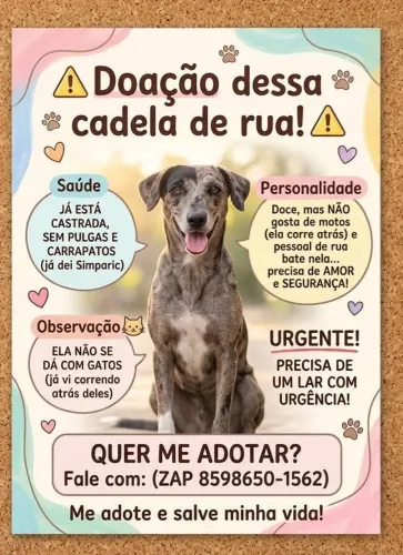 Doação de cachorra