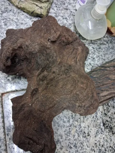 Tronco decorativo para aquarismo lindo para seu aquario