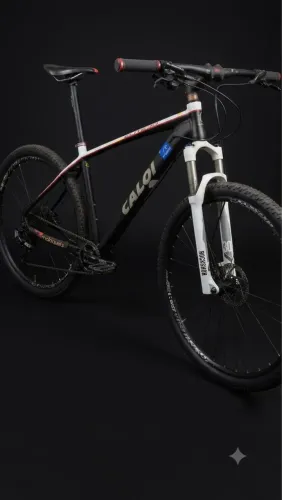 MTB