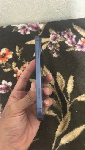 iPhone 11 na carcaça do 17