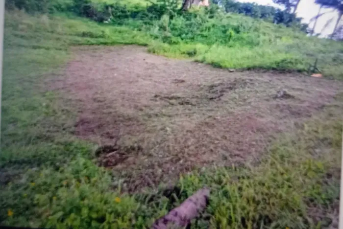 Terreno barato em Paripe