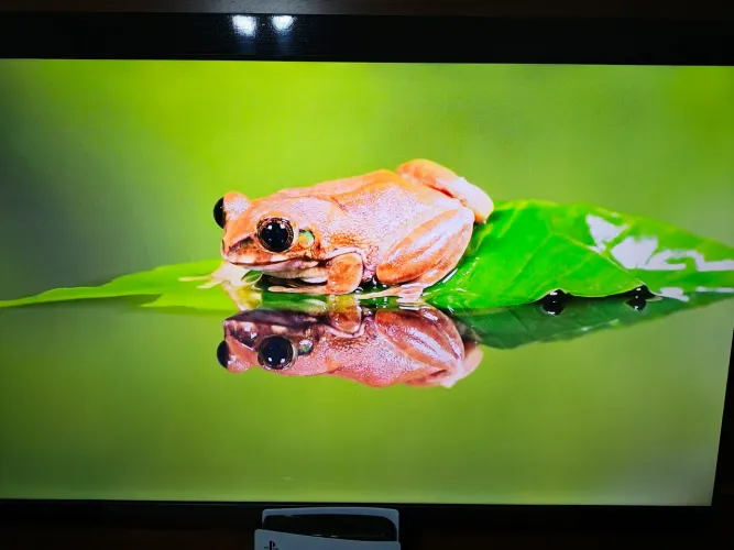 Smart TV Qled 55" Multi Android TL073M