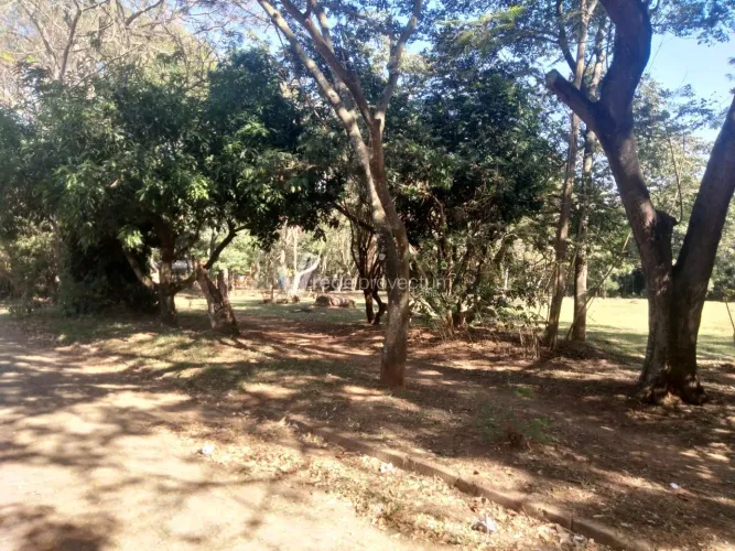 casa - Bosque de Barão Geraldo - Campinas