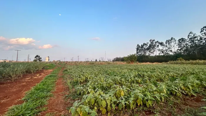 Chácara dentro de Terenos MS para indústria