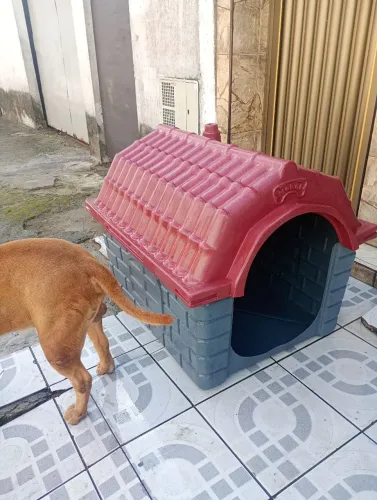 Casa para cachorro 