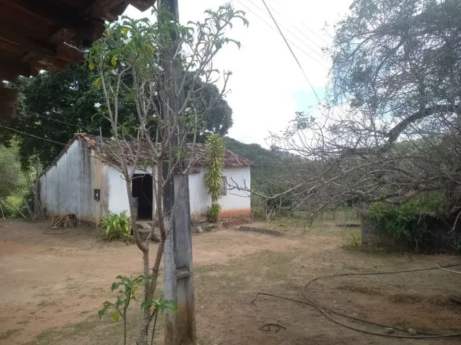 Fazenda Alagoa Nova.