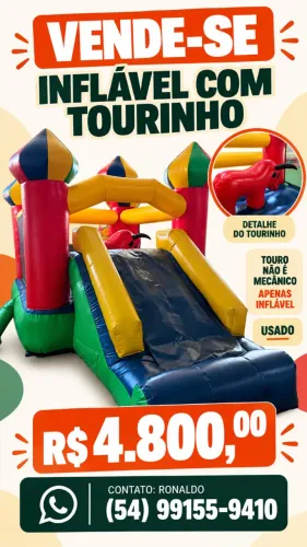 Brinquedo Inflável Touro / Pula-Pula com Tobogã - Ótimo Estado!