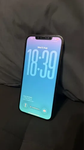 iPhone 12 Pro Max 256g