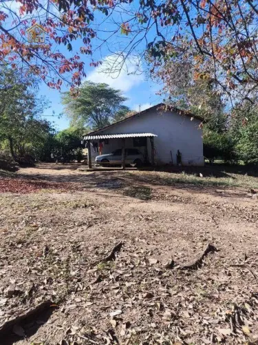 Fazenda com 4 dormitórios à venda, 1597200 m² por R$ 11.350.000,00 - Área Rural - Auriflam