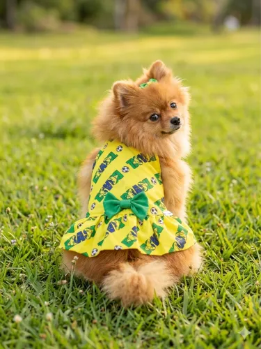 Vestido pet Copa do Mundo Brasil maltes pinscher lulu da pomerania