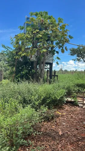 Linda fazenda de 32 hectares