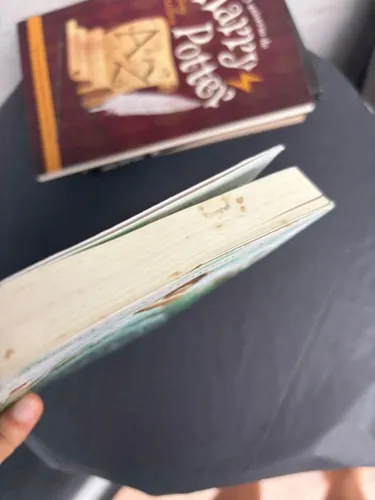 Livro A Seleção kiera Cass