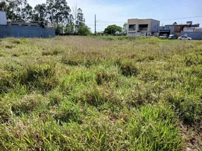 Vende-se Terreno Lote 10x25 RUA MARIA RADEKE BELLO - Ponta Porã 
