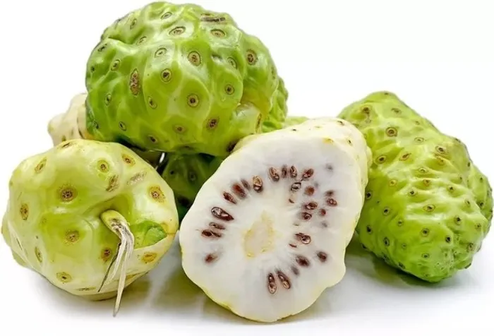 Noni fruto medicinal Fonte de Vitaminas e Poderoso Antioxidante