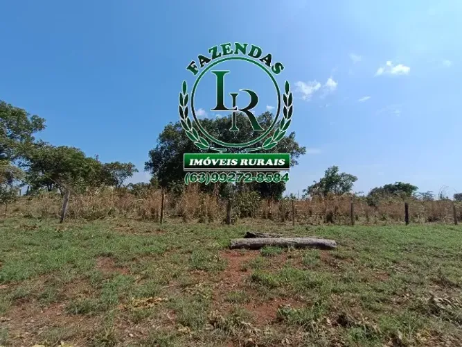 Fazenda 6 Alqueires Próximo a Palmas Tocantins