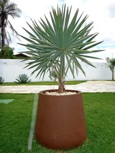 Jarro Pote em concreto