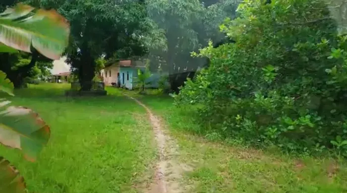 Lindo Sítio com 3 casas em Barra de jacuípe