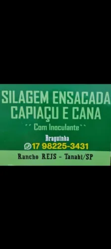 Silagem de capiacu ensacada.