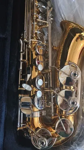 Saxofone alto zero Slade NOVO 