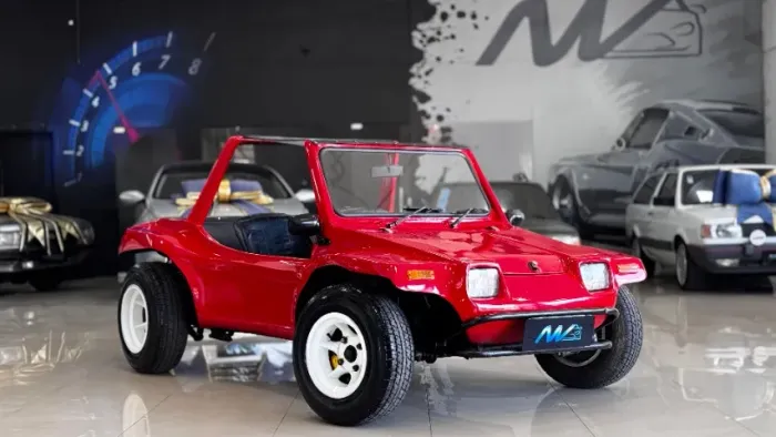 BUGGY ESPECIAL 1600