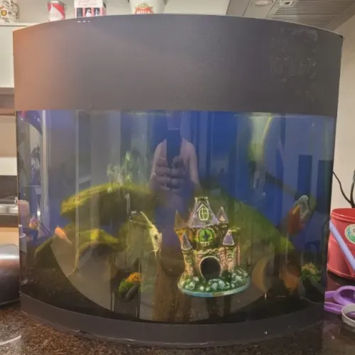 AQUARIO 50 LITROS