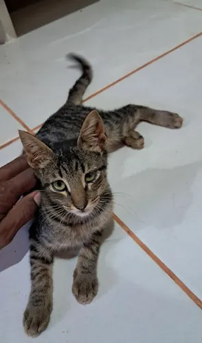 Doação