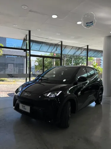 BYD Dolphin Mini (Elétrico) 2025